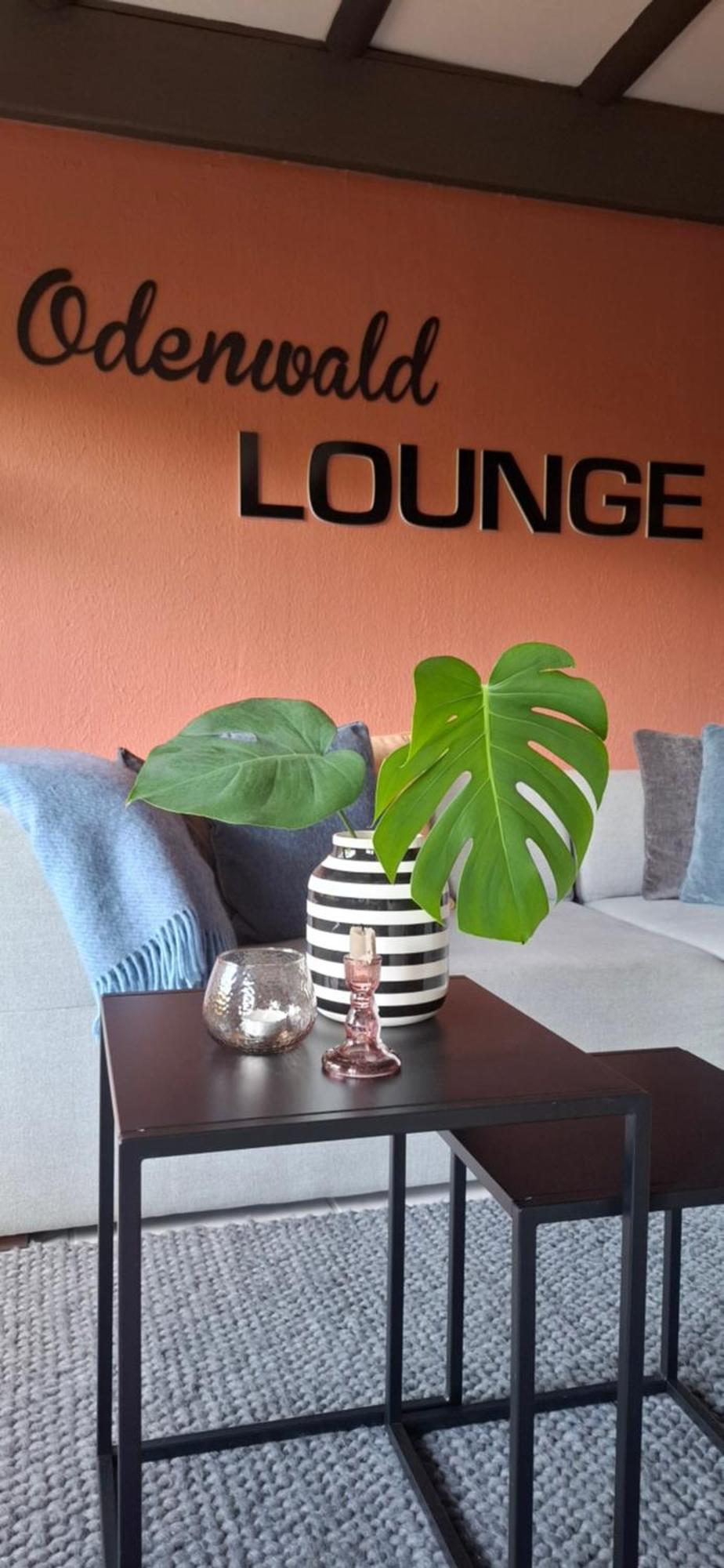 Odenwald Lounge Villa Reichelsheim ภายนอก รูปภาพ